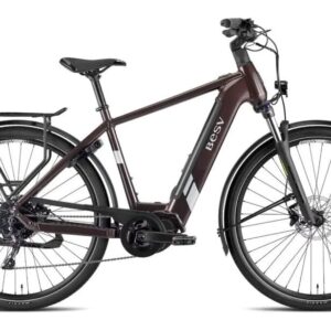 BESV TR 1.3 Step Over 630 Wh 28 Zoll Diamant