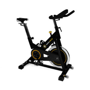 Darwin Indoor Bike Evo 30