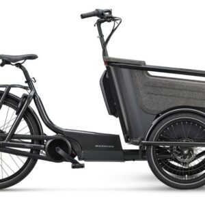 Batavus Fier-3 Env 500 Wh 20 Zoll Dreirad