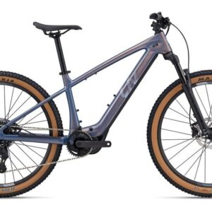 Liv Tempt E+ Gen2 430 Wh 29 Zoll Diamant